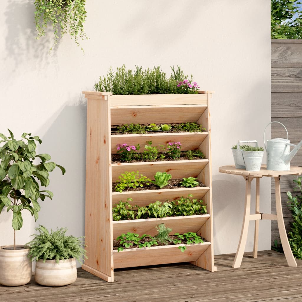 Vidaxl Herb Box a 6 strati 69x40x101,5 cm Pine solido