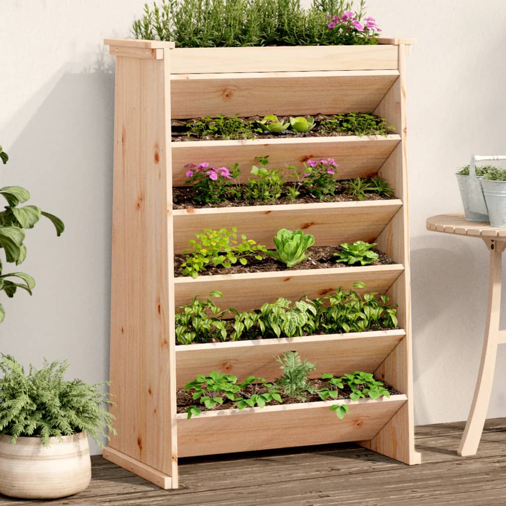 Vidaxl Herb Box a 6 strati 69x40x101,5 cm Pine solido