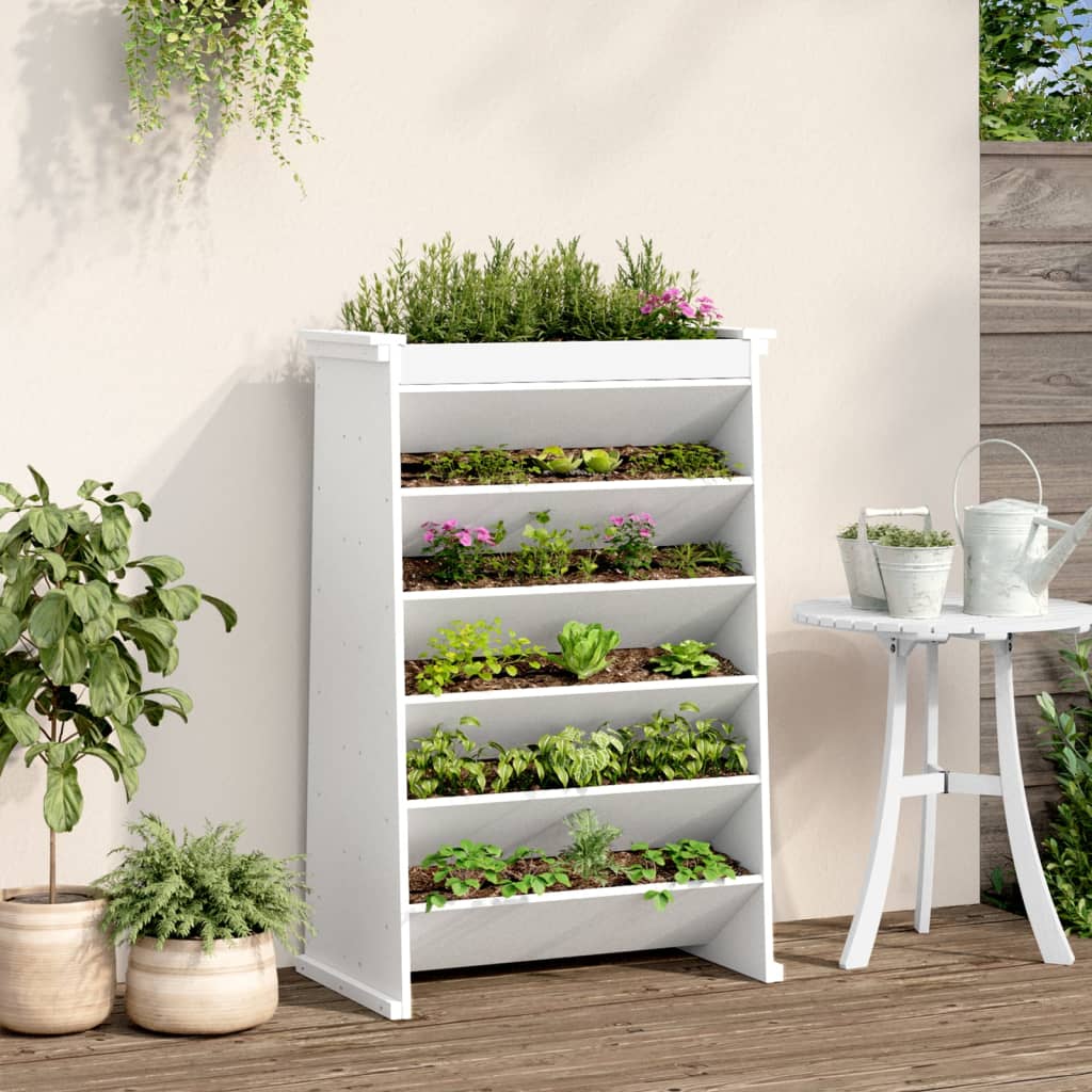 Vidaxl Herb Box a 6 strati 69x40x101,5 cm Pine bianco bianco