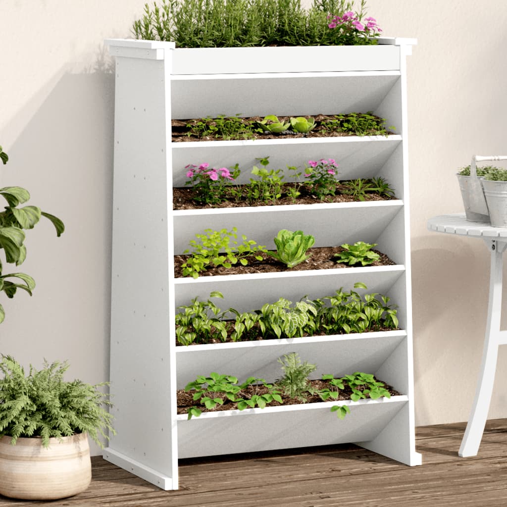 Vidaxl Herb Box a 6 strati 69x40x101,5 cm Pine bianco bianco