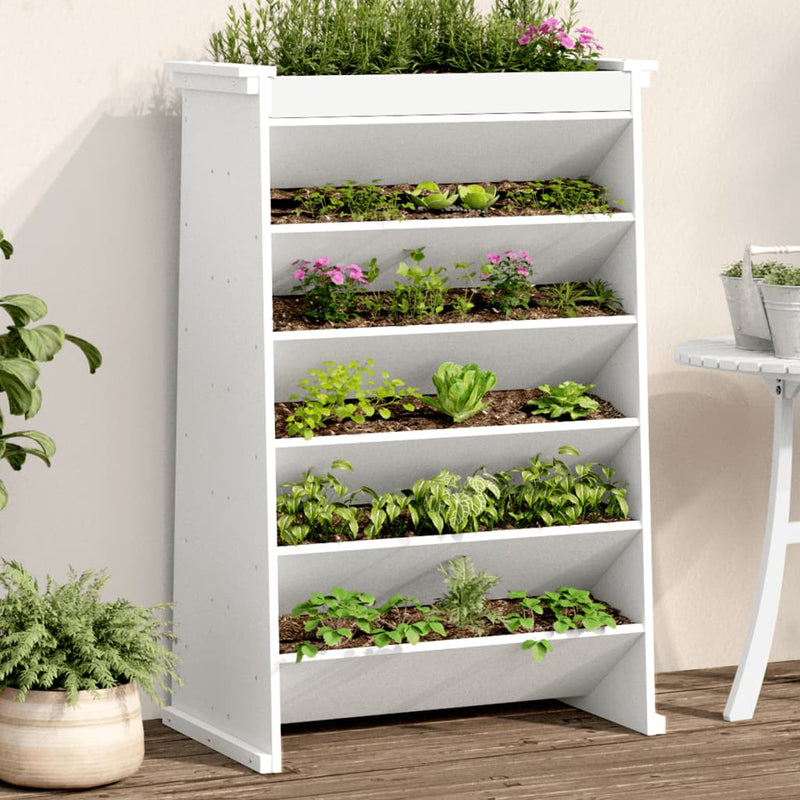 Vidaxl Herb Box a 6 strati 69x40x101,5 cm Pine bianco bianco