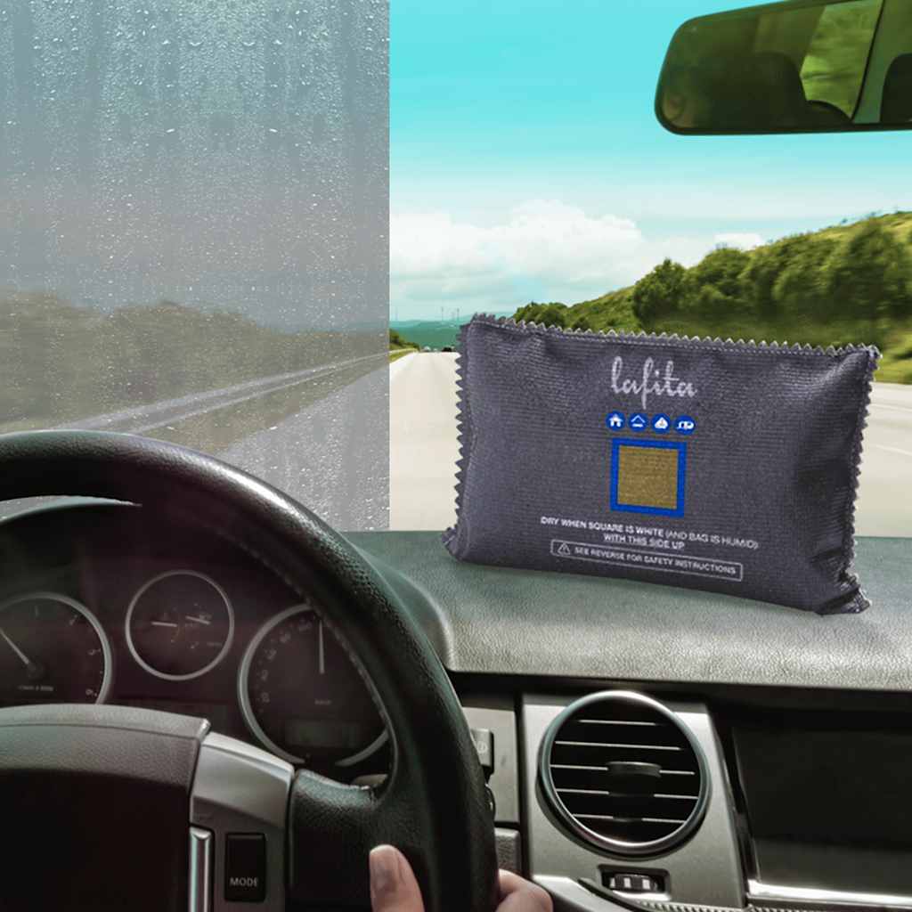 Vidaxl Dehumidificadores para el automóvil reutilizable 2 pcs 400 g