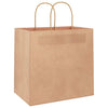 Sacchetti di carta VidaXL 50 pz con manici 26x17x25 cm marrone
