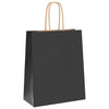 Vidaxl papieren zakken 250 st met hengsels 18x8x22 cm zwart