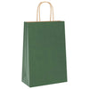 Sacchetti di carta VidaXL 250 pz con manici 21x11x31 cm verde