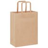 Vidaxl papieren zakken 250 st met hengsels 21x11x28 cm bruin