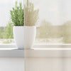 Vidaxl gordijnen voile met doorvoertules 2 st 140x245 cm crèmekleurig