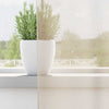 Vidaxl gordijnen voile met doorvoertules 2 st 140x300 cm crème
