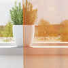 Tende Vidaxx con occhielli 2 pz 140x225 cm arancione