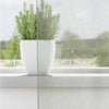 Tende Vidaxx voile con occhielli 2 pz 140x140 cm grigio chiaro