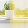 Tende Vidaxl voile con occhielli 2 pz gialle