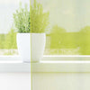 Vidaxl tende in voile con tasche per aste 2 pz verde mela