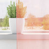 Vidaxl cortinas gasa con bolsillos para varillas 2 piezas rosa