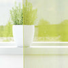 VidaXL tende in voile con bordo superiore 2 pezzi verde mela