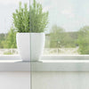 Vidaxl gordijnen voile met lussen 2 st 140x260 cm lichtgrijs
