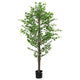 VidaXL planta ficus artificial 1260 hojas 200 cm verde