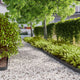 Vidaxl gazonranden 10 st 10x103 cm koudgewalst staal zwart