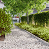 Vidaxl bordes de césped 10 piezas 10x103 cm acero inoxidable