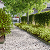 Vidaxl gazonranden 50 st 10x103 cm koudgewalst staal olijfgroen
