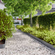Vidaxl gazonranden 10 st 15x103 cm koudgewalst staal antraciet