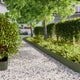 Vidaxl gazonranden 30 st 20x103 cm koudgewalst staal olijfgroen