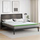 Vidaxl matrastopper wit en groen 180 x 200 cm jacquard stof