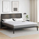 Vidaxl matrastopper wit 200 x 200 cm jacquard stof