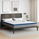 Vidaxl matrastopper wit 200 x 200 cm jacquard stof