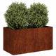Vidaxl plantenbak roestig 80x40x40 cm weervast staal