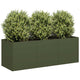Vidaxl plantenbak 120x40x40 cm koudgewalst staal olijfgroen