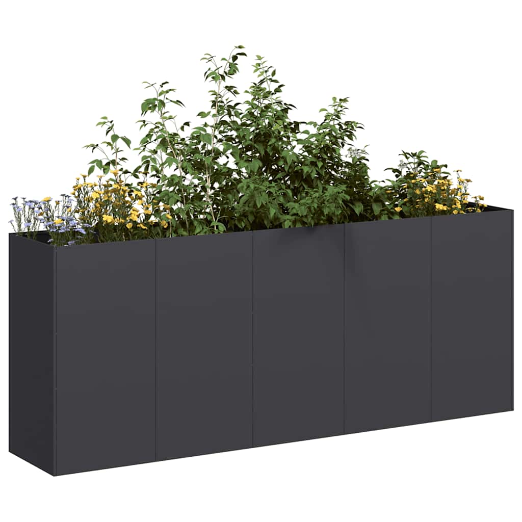 Vidaxx jardinera 200x40x80 cm acero laminado en frío negro