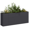 Vidaxl plantenbak 200x40x80 cm koudgewalst staal zwart