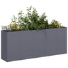 Jardinera vidaxx 200x40x80 cm acero laminado en frío antracita