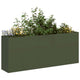 Vidaxl plantenbak 200x40x80 cm koudgewalst staal olijfgroen