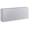 Vidaxl plantenbak 200x40x80 cm gegalvaniseerd staal