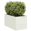 Vidaxl plantenbak 40x80x40 cm koudgewalst staal wit