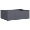 Vidaxl plantenbak 120x80x40 cm staal antracietkleurig