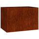 Vidaxl plantenbak roestig 120x80x80 cm weervast staal