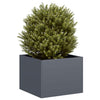 Vidaxl plantenbak 40x40x30 cm staal antracietkleurig