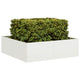 Vidaxl plantenbak 100x100x30 cm staal wit