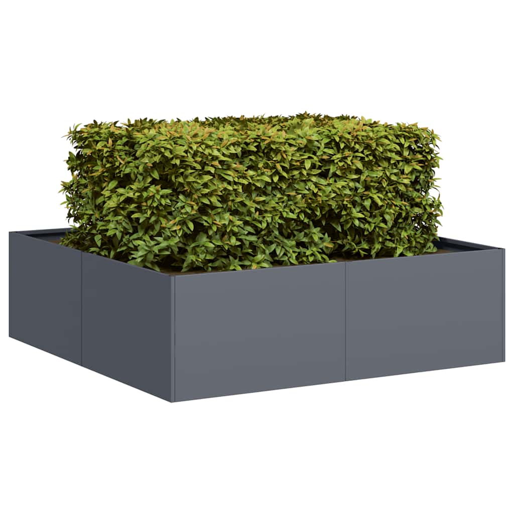 Fioriera Vidaxx 100x100x30 cm acciaio antracite