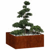 Jardinera vidaxx oxidada 100x100x40 cm acero resistente a la intemperie