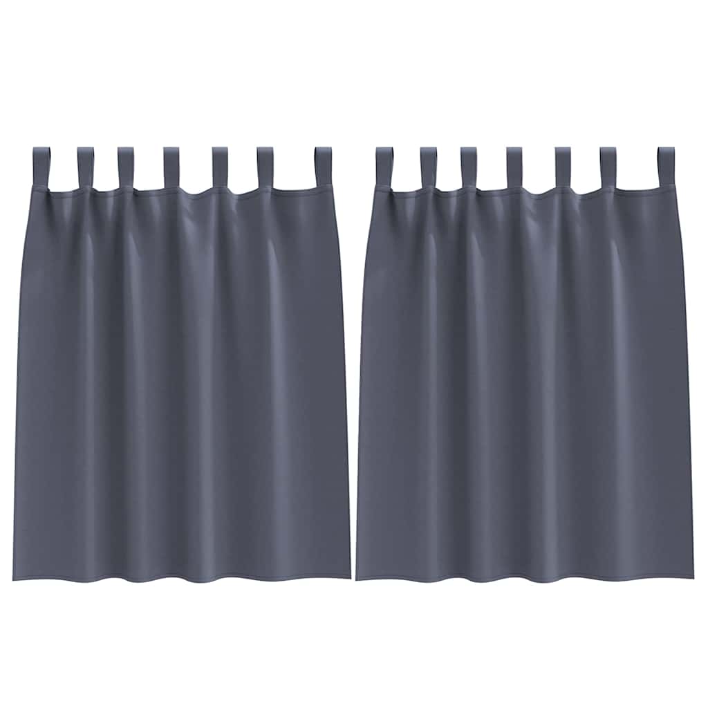 Tende oscuranti Vidaxl con anelli 2 pz antracite 140 x 140 cm