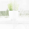 Vidaxx cortina de encaje con cortinas flores blanco 300 x 300 cm poliéster