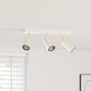 Vidaxl plafondspot met schijnwerpers nikkel 38 x 6 x 16 cm metaal