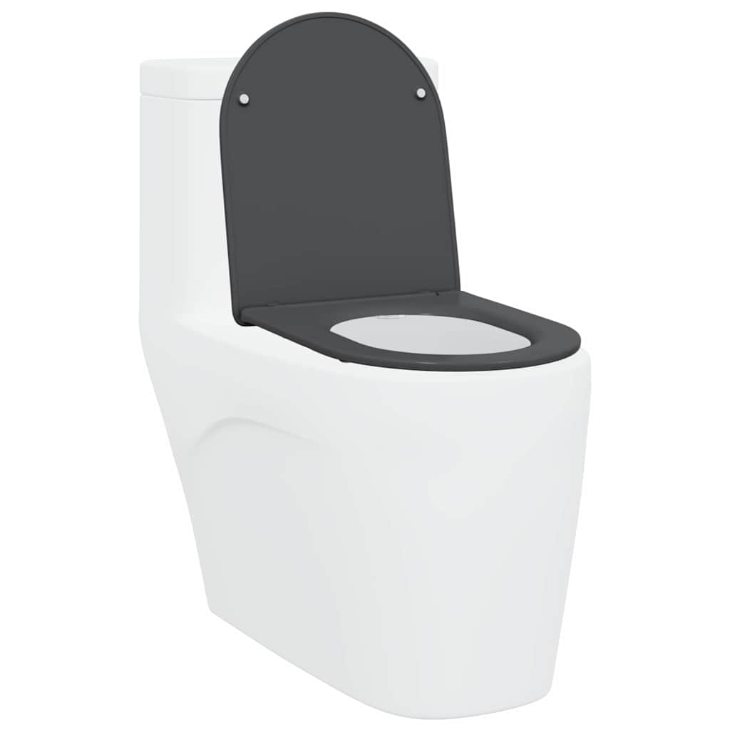 Sedile WC Vidaxl antracite 47 x 36 x 3,4 cm duroplastica