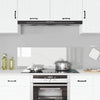 Vidaxl keuken spatscherm doorzichtig 120 x 40 cm gehard glas