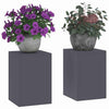 Supporto per piante Vidaxl 2 pezzi antracite 24 x 24 x 35 cm in acciaio