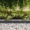 Bordo da giardino Vidaxl 30 pz nero 100 x 0,05 x 20 cm acciaio laminato a freddo