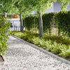 VidaXL borde de jardín 30 piezas plata 100 x 0,05 x 20 cm acero inoxidable